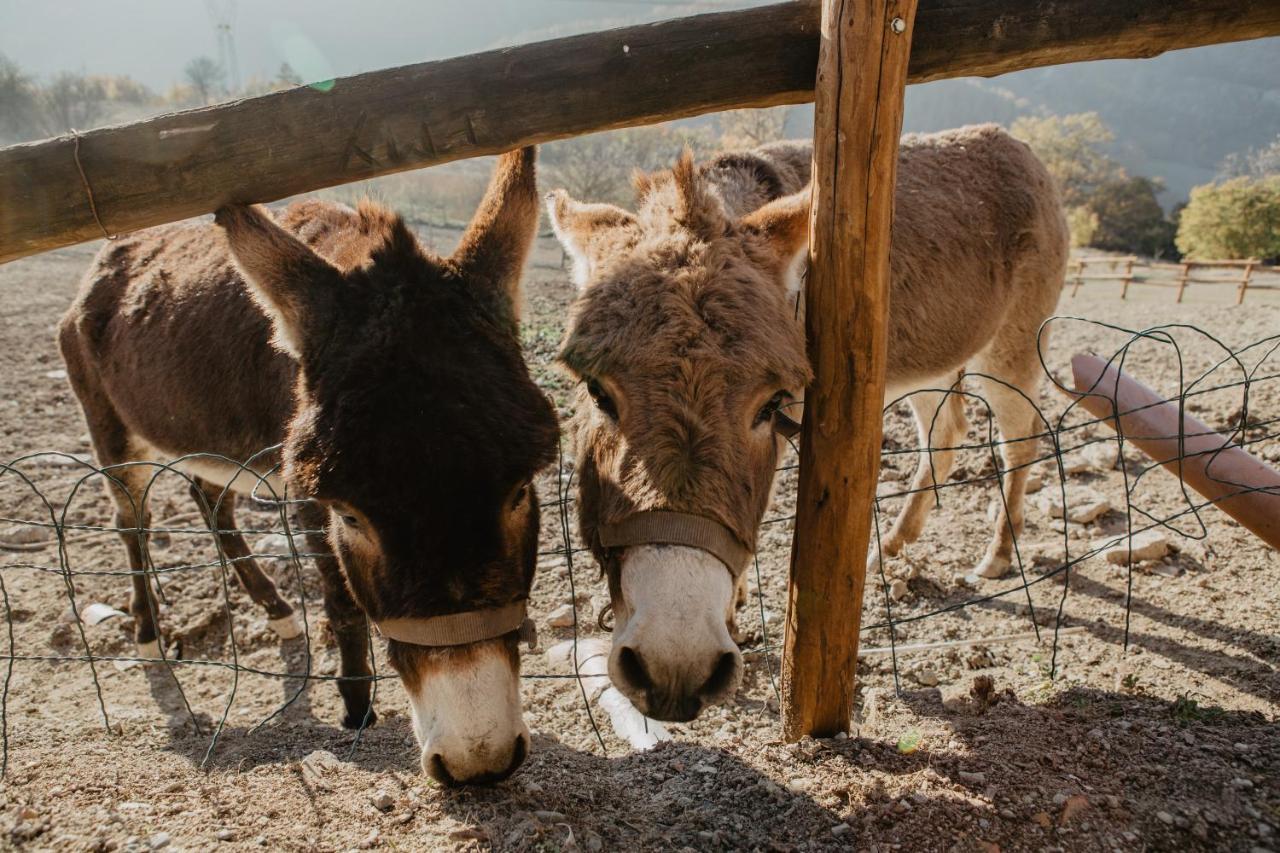 Agriturismo Le Piagge Ponzone المظهر الخارجي الصورة